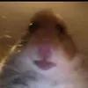 Ray Renteria - @rayrenteria1 - TikTok