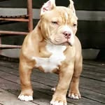 riggs ray - @rayriggs - Instagram