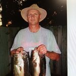 Ray Ring - @ring881 - Instagram