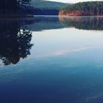 Ray Ring - @rayring1107 - Instagram