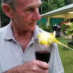Ray Ritchie - @raysanctuary46 - Instagram