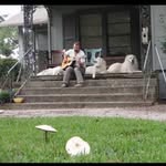 Ray Roebuck - @rayroebuck - Instagram