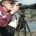 Ray Salmon - @salmon3726 - Instagram