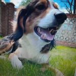 Ray Sampson - @stormson52 - Instagram