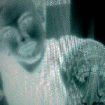 ray sandoval - @rsand1123 - Instagram
