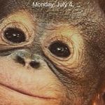 Ray Sandoval - @raysandoval2552 - Instagram