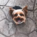 Harley - @harley_ray_scarbrough - Instagram