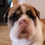Parker Ray Schulz - @partosav - Instagram
