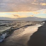 Ray Seidel - @ray.seidel - Instagram