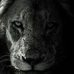 Ray Seidel - @rayseidel717 - Instagram