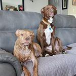 Ray Seidel - @bob_o_nita - Instagram
