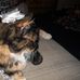 Ray Sheffer - Facebook