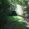 rayshelton - @rayshelton - TikTok