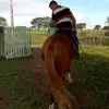 Ray Silva - @raysilva808 - TikTok