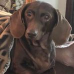 Ray Simpkins - Facebook