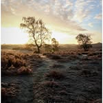 Ray Simpson - @within_the_landscape - Instagram
