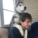 Ray Singleton - @rysngltn95 - Instagram