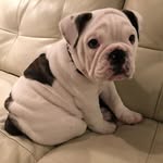 Ray Singleton - @ray.singleton.92 - Instagram
