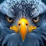 Ray Singleton - @raysingleton76 - Instagram