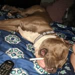 Steve Ray Smallwood - @steveraysmallwood - Instagram