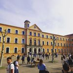 @_smiley_de_raynouard - Instagram