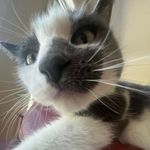 Riley Ray - @smiley.riley.ray - Instagram