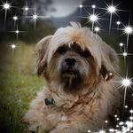 Raymond Smithers - @kriket1515 - Instagram