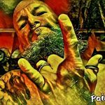 Ray Snapp - @raysmapp - Instagram