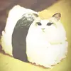 Raysnappe - @raysnappe - TikTok
