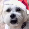 raylynn_slayspecht - @raylynn_slayspecht - TikTok