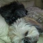 Raymond Squires-Riley - @ray.squiresriley - Instagram