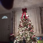Johnny Ray Staggs - @staggs3412 - Instagram