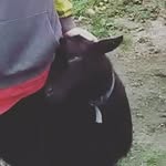 Tyler Ray staggs - @tylerstaggs2008 - Instagram
