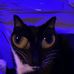 Ray Stanfield - Facebook