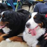 Ray Stanton - @ray.stanton.562 - Instagram