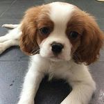 Rays.Tiff - @rays.tiff - Instagram