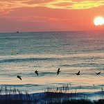 Ray Stiles - @obxray - Instagram
