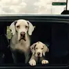 RaY Stiles - @ray.stiles39 - TikTok