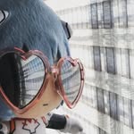 аянами рей - @ray._story - Instagram