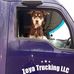 Ray Sue - Facebook