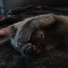 Ray sitter - @ray.sitter - TikTok
