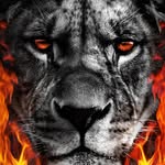 Raymond Sumrall - @sumrallraymond - Instagram
