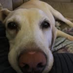 Ray Swaney - @ras0923 - Instagram