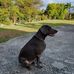 Ray Szymanski - Facebook