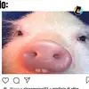 Rayden Thibault - @raydenthibault - TikTok