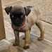 Raymond Thibodeaux - Facebook