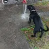 ray thomas - @ray.thomas19 - TikTok