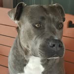 Ray Thornton - @raythornton66 - Instagram