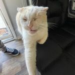 Raymond Thorne - @ray_thorne2007 - Instagram