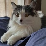 Ray Tierney - @rayray081588 - Instagram